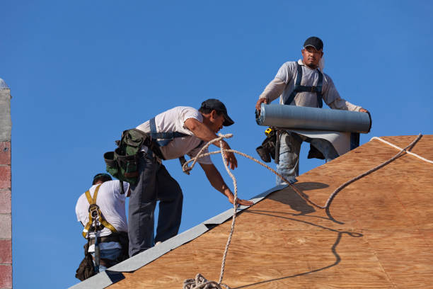 Best Flat Roof Repair Services  in Borden, IN