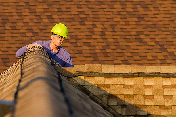 Best Roof Leak Repair  in Borden, IN